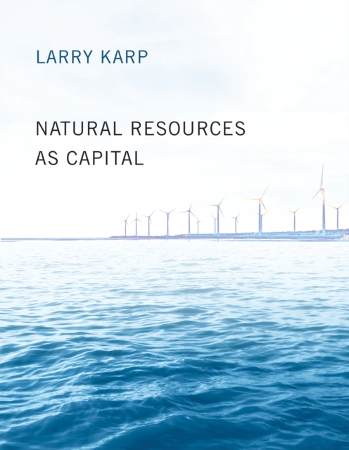 Book Cover for Natural Resources as Capital by Karp, Larry