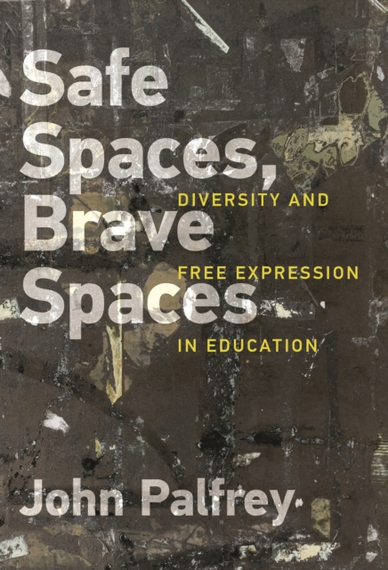 Book Cover for Safe Spaces, Brave Spaces by John Palfrey