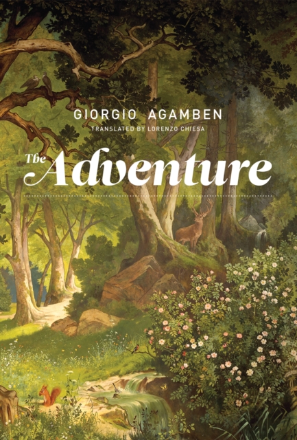 Book Cover for Adventure by Agamben, Giorgio