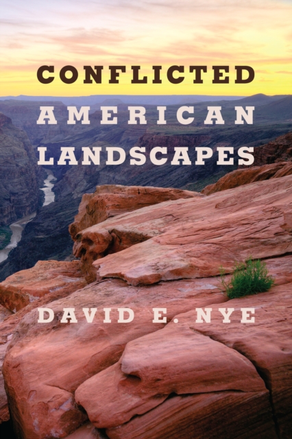 Book Cover for Conflicted American Landscapes by David E. Nye