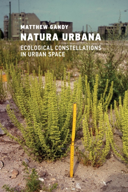 Book Cover for Natura Urbana by Matthew Gandy