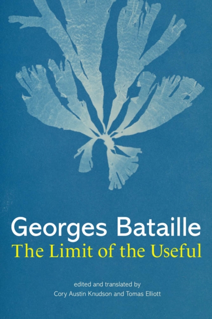 Book Cover for Limit of the Useful by Georges Bataille