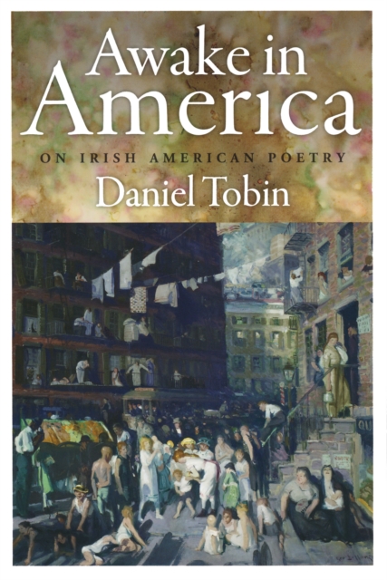 Book Cover for Awake in America by Daniel Tobin