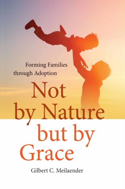 Book Cover for Not by Nature but by Grace by Gilbert C. Meilaender