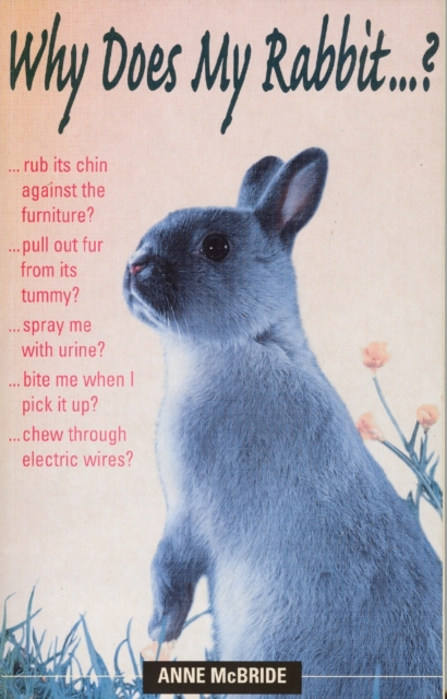 Book Cover for Why Does My Rabbit...? by Anne McBride