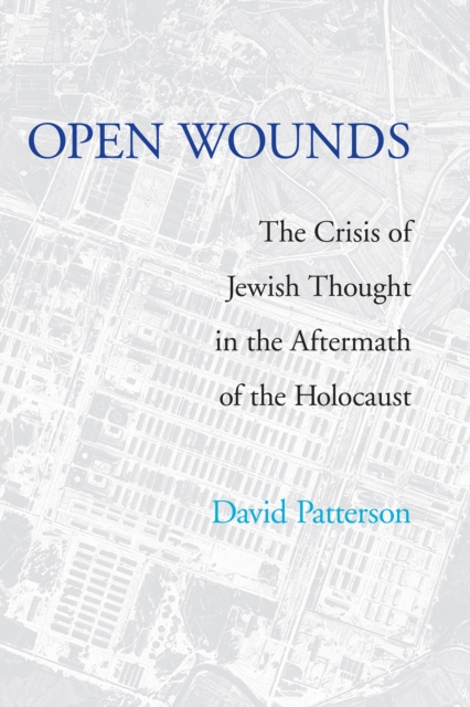 Book Cover for Open Wounds by David Patterson