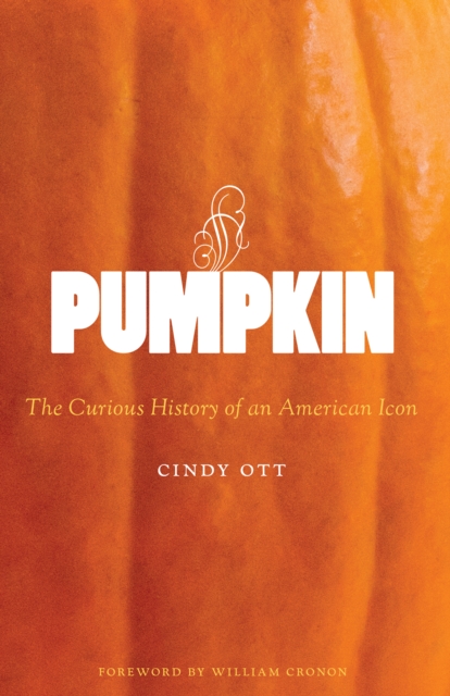 Book Cover for Pumpkin by Ott, Cindy