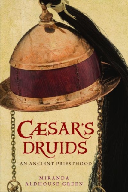 Book Cover for Caesar's Druids by Miranda Aldhouse-Green