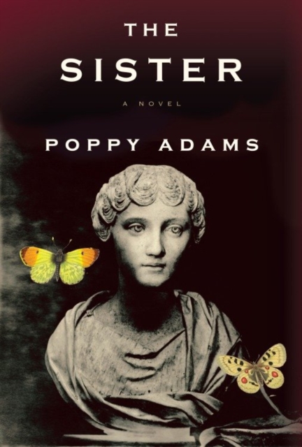 Book Cover for Sister by Poppy Adams