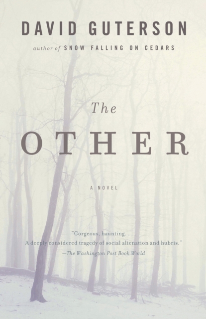 Book Cover for Other by David Guterson