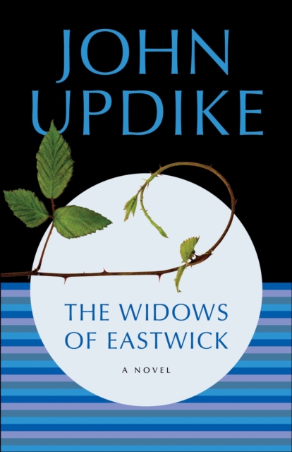 Book Cover for Widows of Eastwick by John Updike