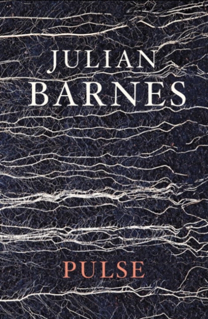 Book Cover for Pulse by Julian Barnes