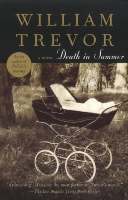 Book Cover for Death In Summer by William Trevor