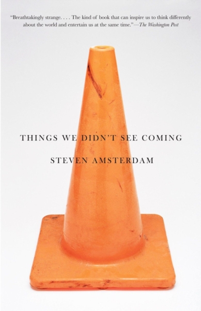 Book Cover for Things We Didn't See Coming by Amsterdam, Steven