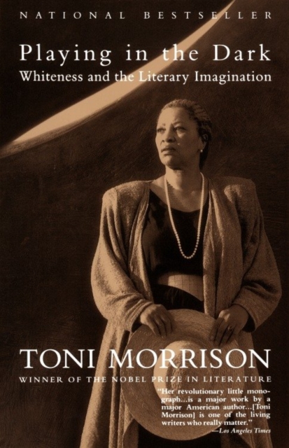 Book Cover for Playing in the Dark by Toni Morrison