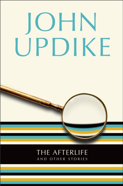 Book Cover for Afterlife by John Updike