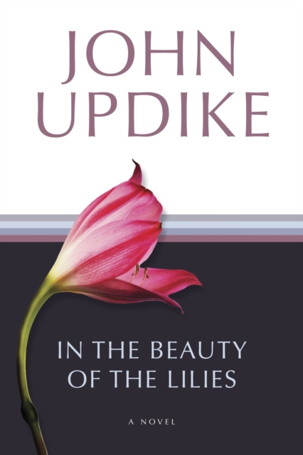 Book Cover for In the Beauty of the Lilies by Updike, John