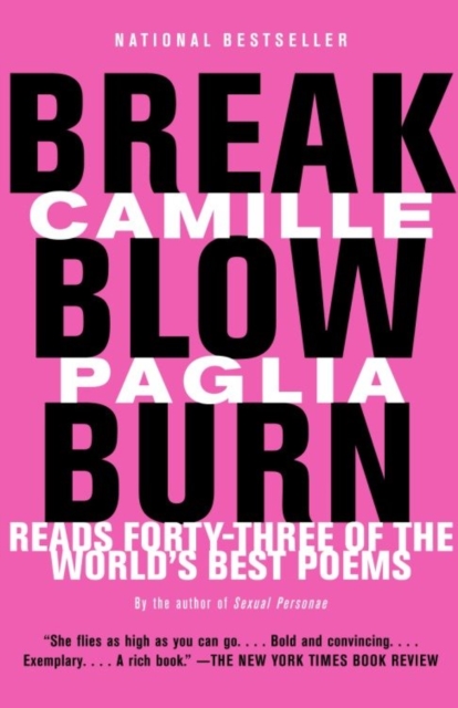 Book Cover for Break, Blow, Burn by Camille Paglia