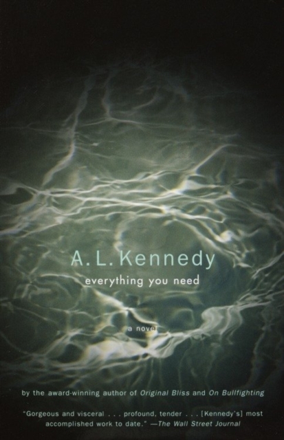 Book Cover for Everything You Need by A. L. Kennedy