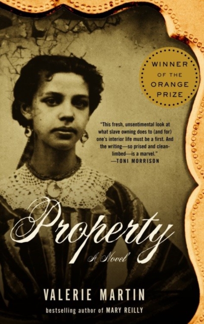 Book Cover for Property by Valerie Martin