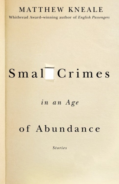 Book Cover for Small Crimes in an Age of Abundance by Kneale, Matthew