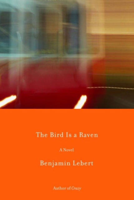 Book Cover for Bird Is a Raven by Lebert, Benjamin