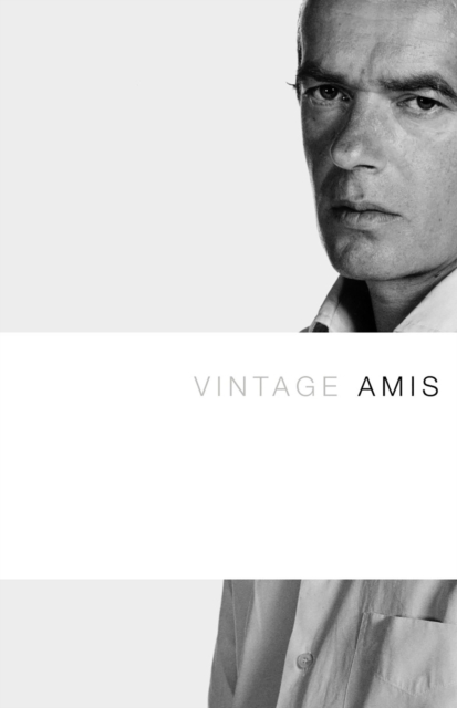 Book Cover for Vintage Amis by Martin Amis