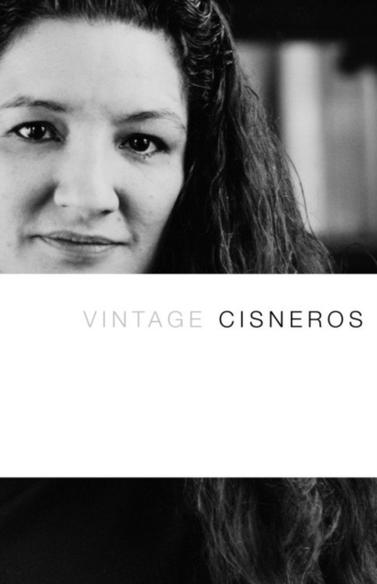 Book Cover for Vintage Cisneros by Cisneros, Sandra