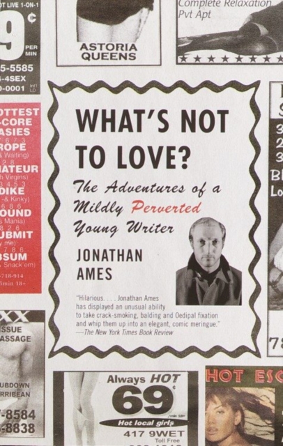 Book Cover for What's Not to Love? by Jonathan Ames