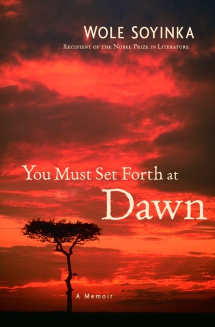 Book Cover for You Must Set Forth at Dawn by Wole Soyinka
