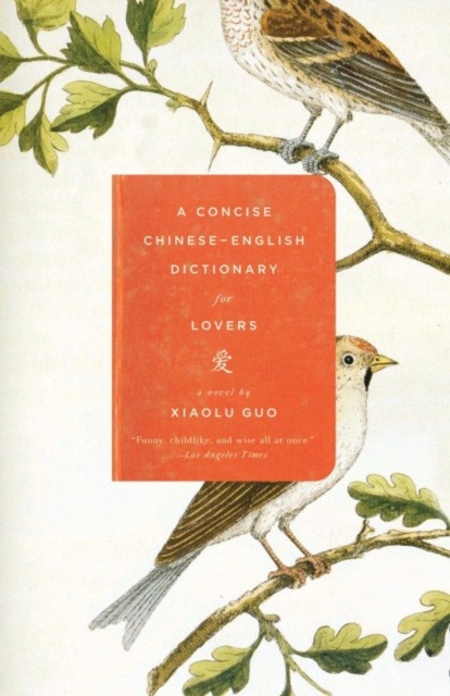 Book Cover for Concise Chinese-English Dictionary for Lovers by Xiaolu Guo