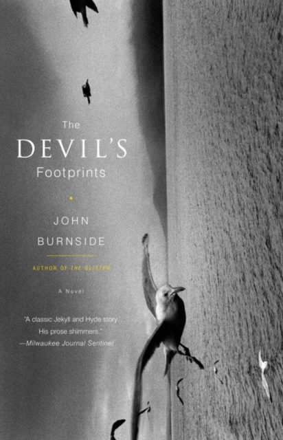 Book Cover for Devil's Footprints by John Burnside
