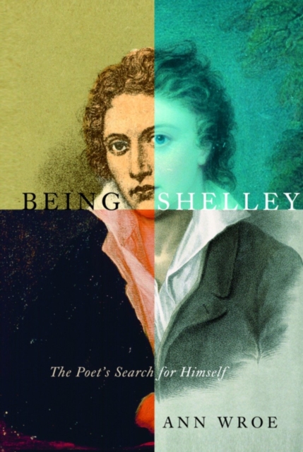 Book Cover for Being Shelley by Ann Wroe