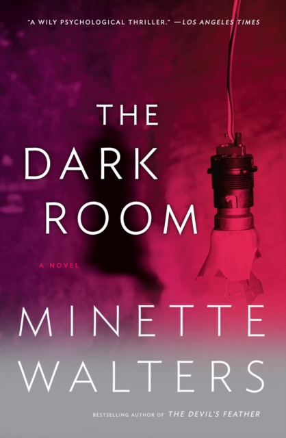 Book Cover for Dark Room by Minette Walters