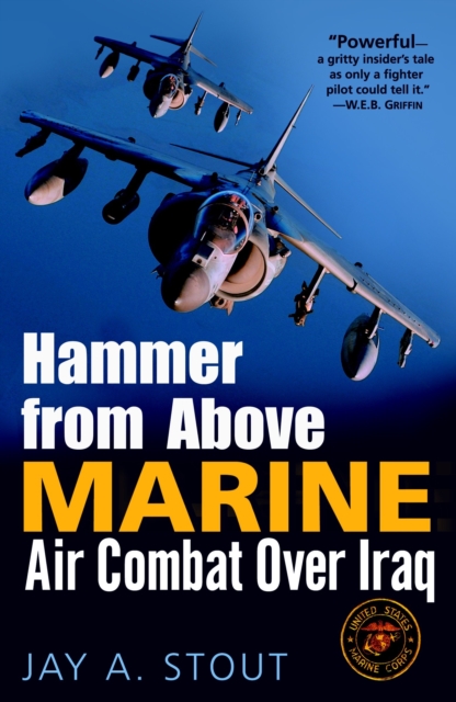 Book Cover for Hammer from Above by Jay A. Stout