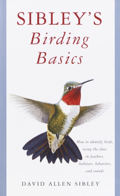 Book Cover for Sibley's Birding Basics by David Allen Sibley