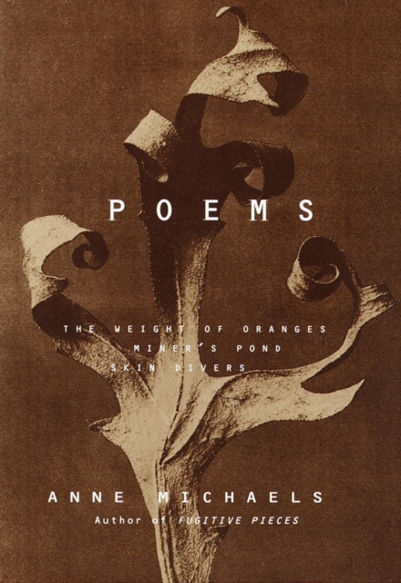 Book Cover for Poems by Anne Michaels