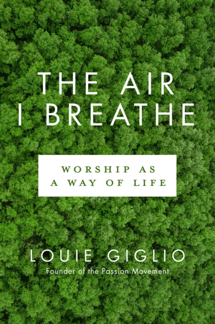 Book Cover for Air I Breathe by Louie Giglio