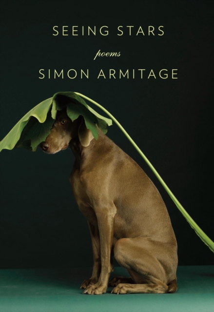 Book Cover for Seeing Stars by Armitage, Simon