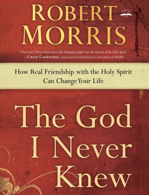 Book Cover for God I Never Knew by Robert Morris