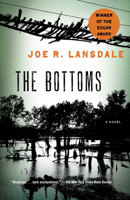 Book Cover for Bottoms by Lansdale, Joe R.