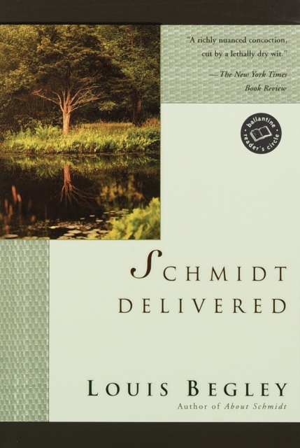 Book Cover for Schmidt Delivered by Louis Begley