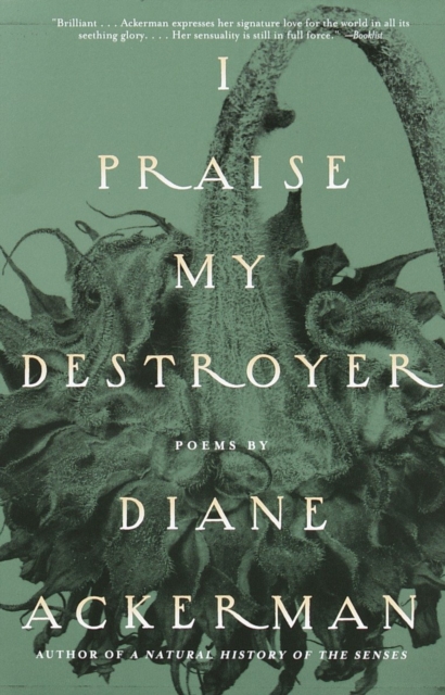 Book Cover for I Praise My Destroyer by Ackerman, Diane