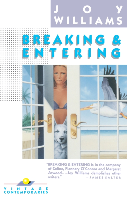Book Cover for Breaking and Entering by Joy Williams