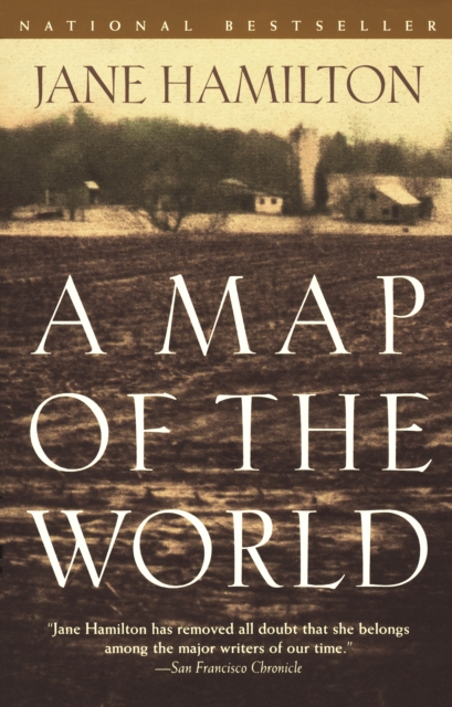 Book Cover for Map of the World by Hamilton, Jane