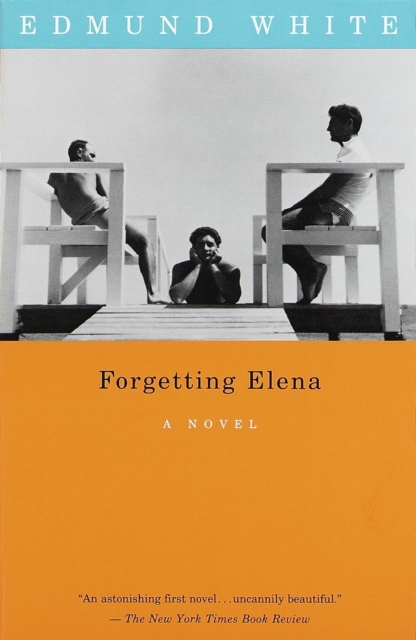 Book Cover for Forgetting Elena by Edmund White
