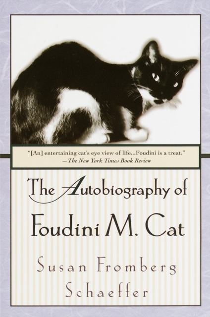 Book Cover for Autobiography of Foudini M. Cat by Susan Fromberg Schaeffer