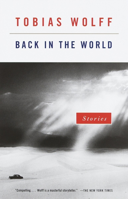 Book Cover for Back in the World by Tobias Wolff