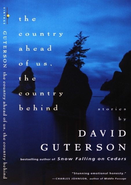 Book Cover for Country Ahead of Us, The Country Behind by David Guterson