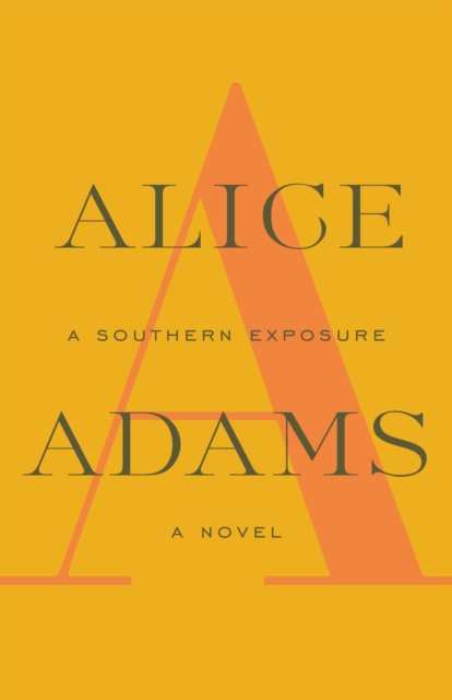 Book Cover for Southern Exposure by Alice Adams